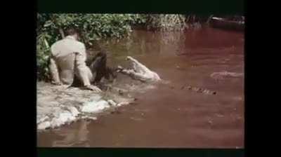 Crocodile farm owner Ross Katanga (whose own father had been eaten by a crocodile) did this stunt on James bond (1973) He succeeded on his 5th attempt!!