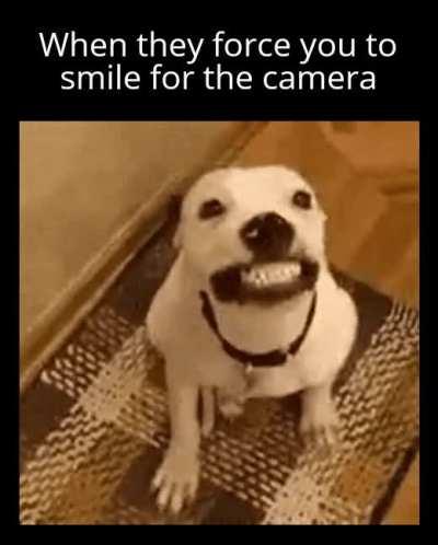 Say cheese!