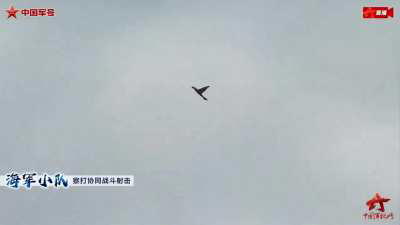 China unveils new military drones disguised as birds.