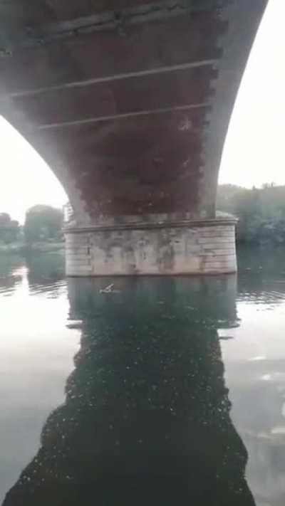 Under a bridge in Turin Italy, saxophonist Frankye Laforgue performs 