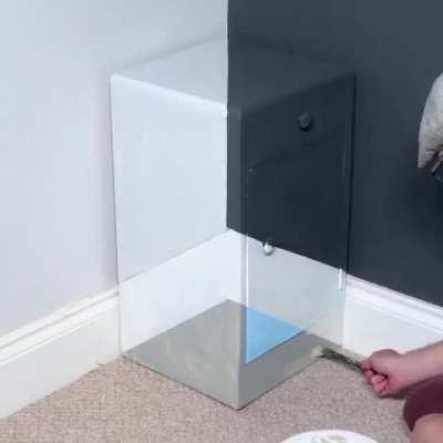 Painting a cabinet to look invisible from a certain angle