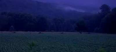 Fireflies lighting up a rural Pennsylvania field