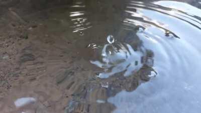 Water droplets at our local well.