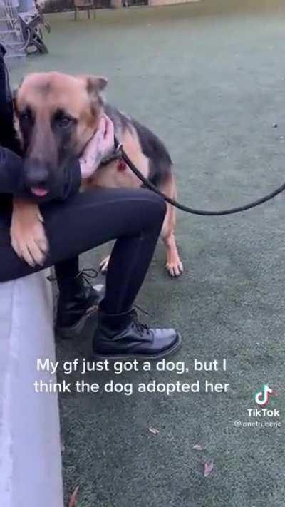 Watch a dog find their soulmate.