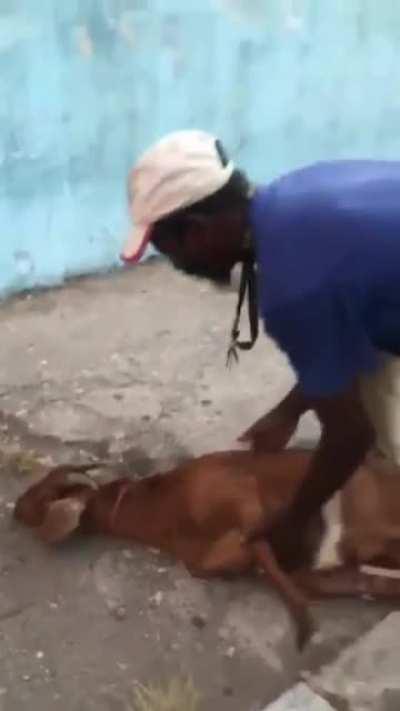 Man saves the life of a goat