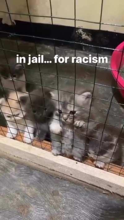 Wunk jail