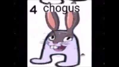 What amogus are you getting?