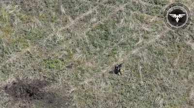 The 47th OMBr strike UAV company hunts for Russians that attempted to advance towards Ukrainian positions