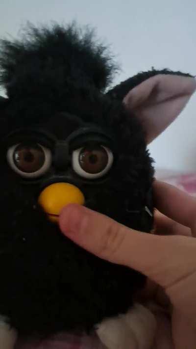 i bought this furby a while ago, never turned it on until now but its more high pithed than my other furbys, is this a baby furby?