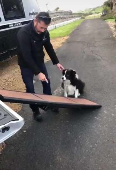 To help the dog into the truck