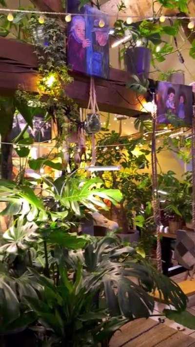 Living in a home jungle around 400 plants