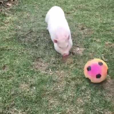 Barry loves having a soccer ball to play with