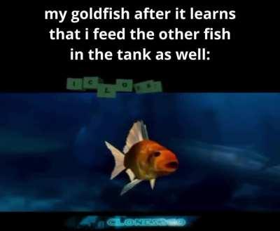 poor fish