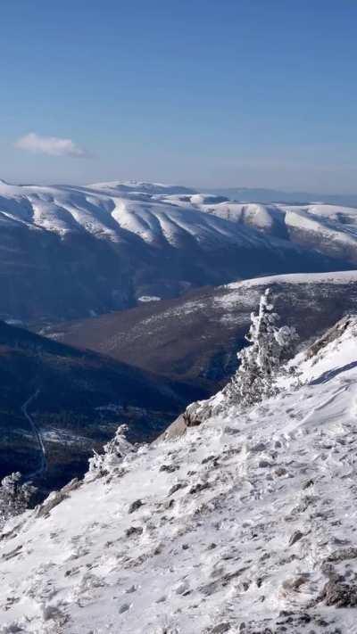 🔥 Sharing a mountain summit with a chamois, Italy 🔥