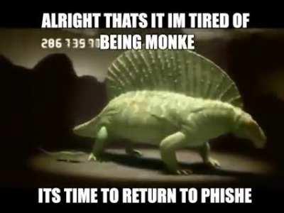 🐟🐟🐟Join me and return to phishe buddies! 🐟🐟🐟