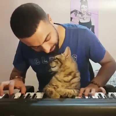 The way the cat enjoy the music, so cute and so pure