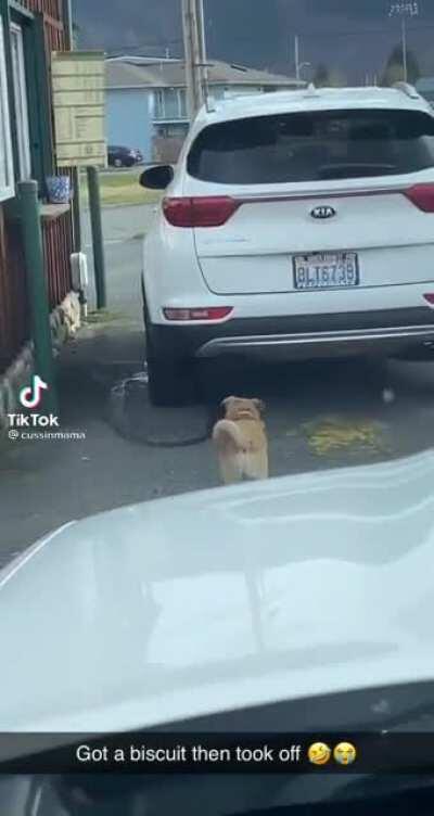 Hello, one puppacino please. It's going to be a ruff day.