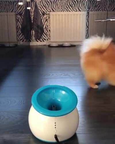 Spin, then catch it!