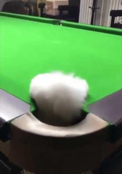 Cue ball in the corner pocket