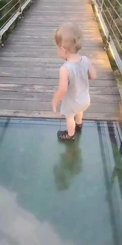 Little boy attempts to cross the glass bridge