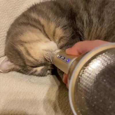 Kitty Snoring on an echo mic (audio)