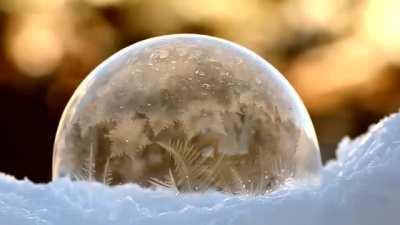 How the bubble freezes