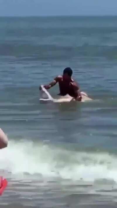 Dude Catches Shark with His Bare Hands