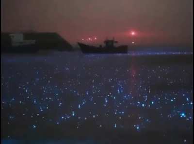 What rain on a bioluminescent sea looks like.