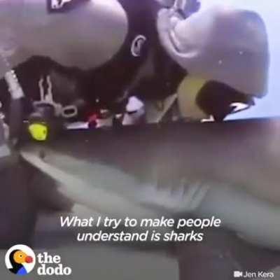 Removing Hooks from Sharks: Un-Fishing humanity