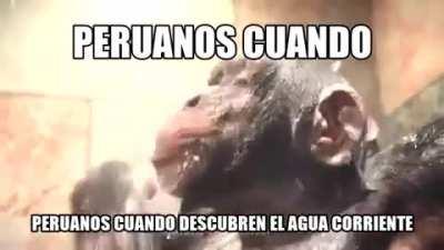 Peruanos cuando se enteran que en el primer mundo no hay que ir al río a por agua