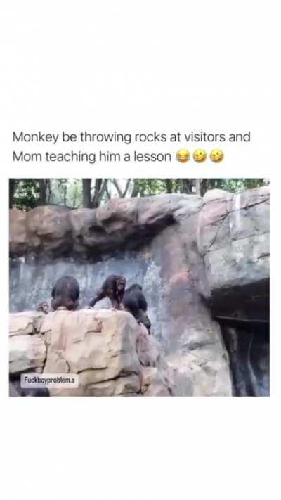 Monkey moming her son a lesson