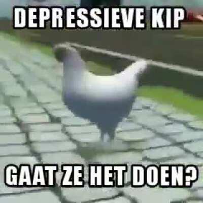 nee kip doe het niet! ga naar de ggz!