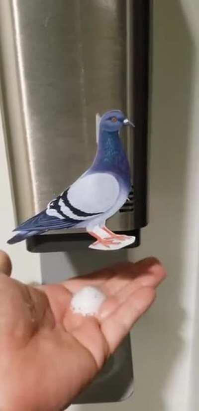 Pigeonitizer