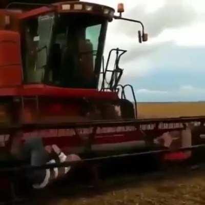 Holding onto a combine harvester blade.