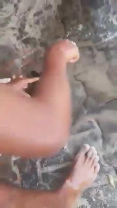 Some clumsy Bros saved a sea turtle in Sousse Tunisia while being in the beach