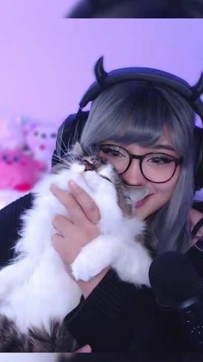 Wholesome chin scratchies caught on stream [OC]