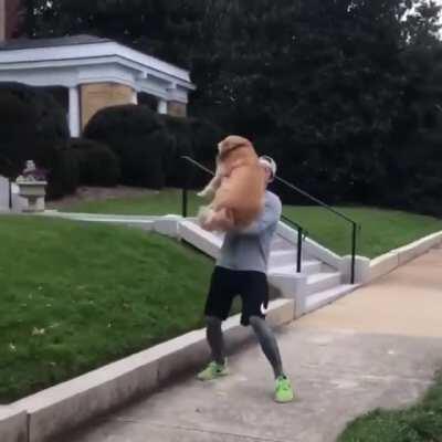 Golden girl spots her dad on the street