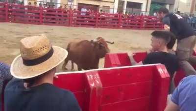 Taunting a bull