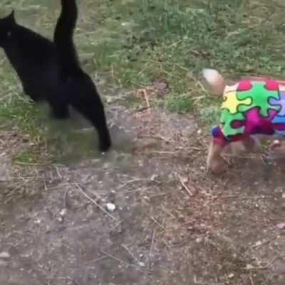 If you're having a bad day, here's baby goats in pyjamas