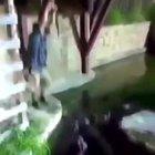 HMF while I try to be Indiana Jones