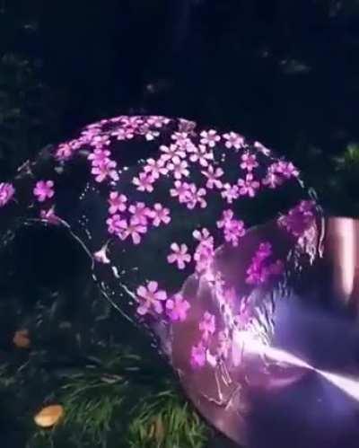 Water and flowers in motion