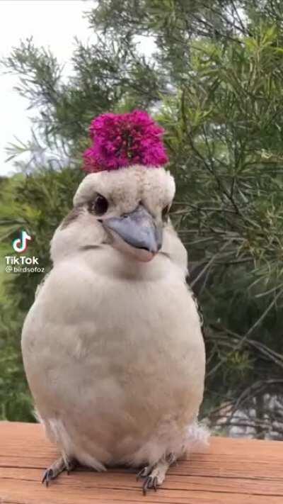 hat photoshoot