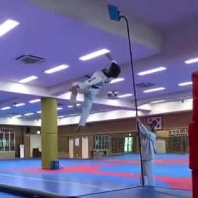 Backflip kick