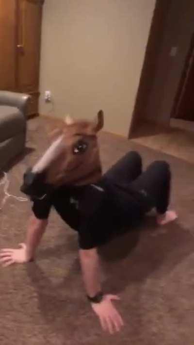 Horse Mask Porn