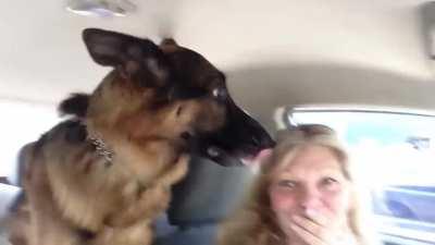 Pup suddenly realizes he's at the vet