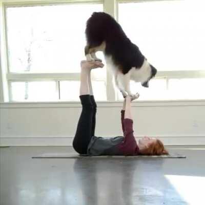 Dog + Yoga = Doga