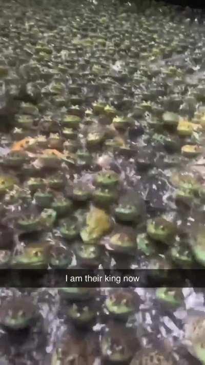 Frog King, Leader of the Amphibians