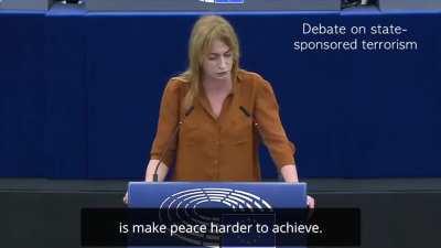 2 members of European Parliament from Ireland said that if Russia is a state sponsor of terrorism, then the US & NATO are state sponsors of terrorism as well in Afghanistan, Palestine, Yemen, Syria, Iraq, Cuba, Nicaragua, Guatemala, El Salvador, Vietn