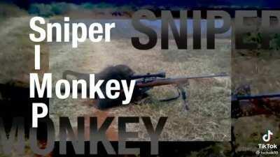 Sniper Monkey.