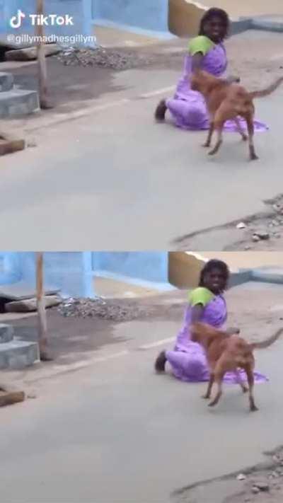 Whatever she was trying to do, the dog confirmed it